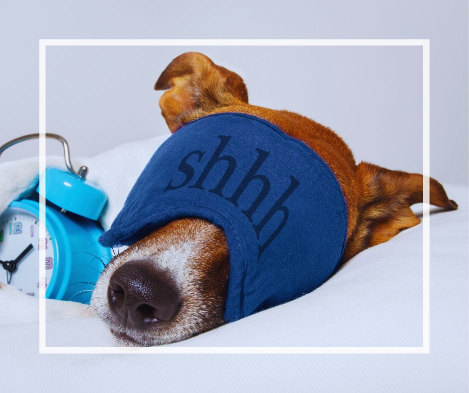 insomnia due to energetic disturbance