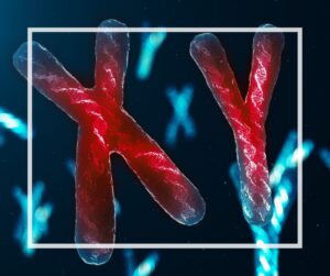is autoimmune disease hereditary