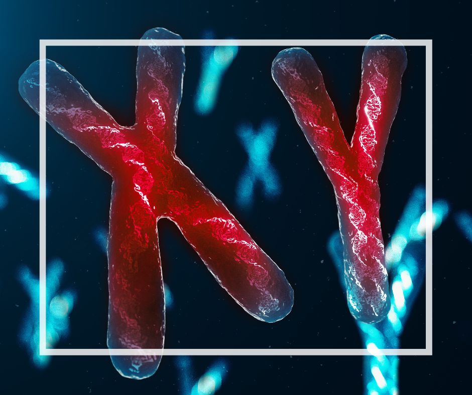 is autoimmune disease hereditary