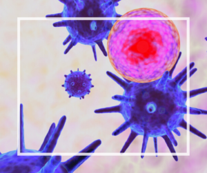 why autoimmune disease is on the rise