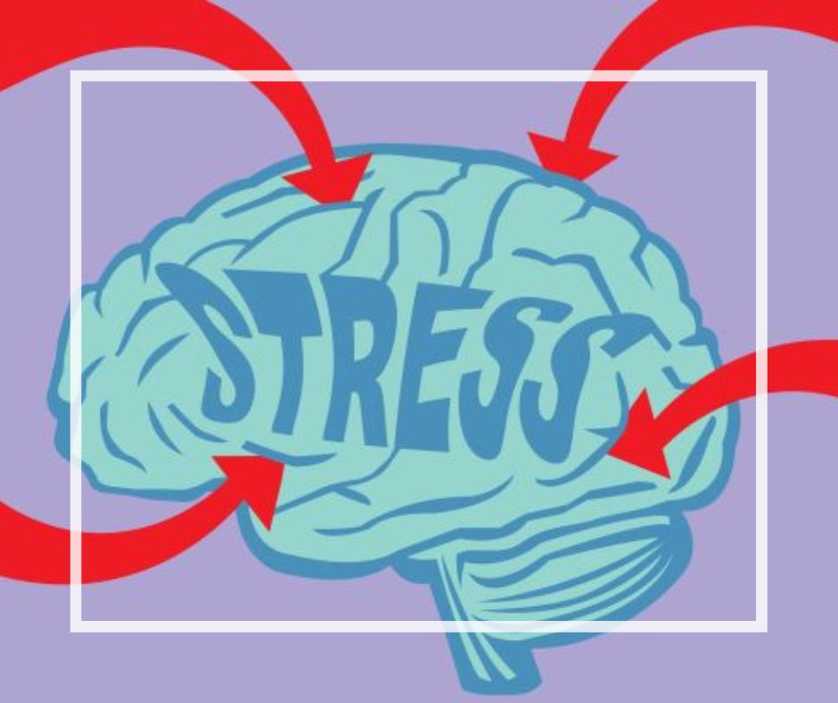Effects of Stress