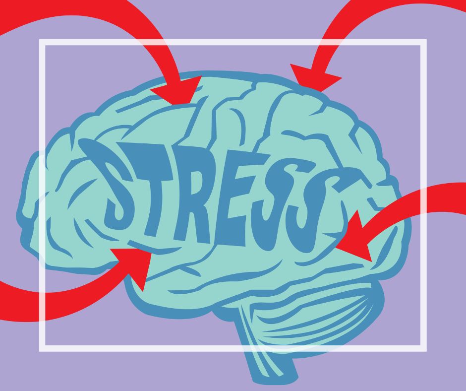 what does stress do to your body
