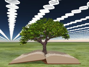 evolutionary medicine