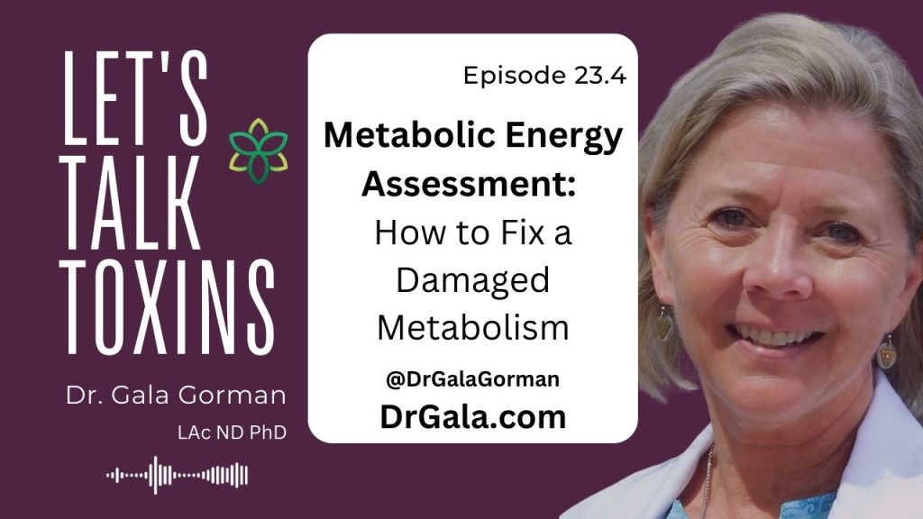 Dr. Gala's assessment on how to fix metabolism damage