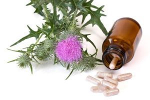 Milk thistle plant with capsules and bottle.