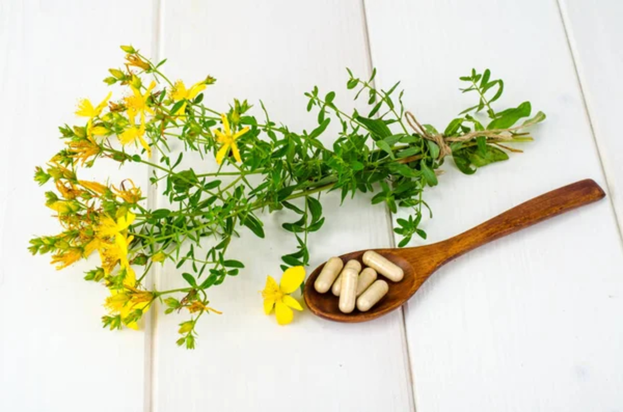 St. John's Wort capsules for natural remedy.
