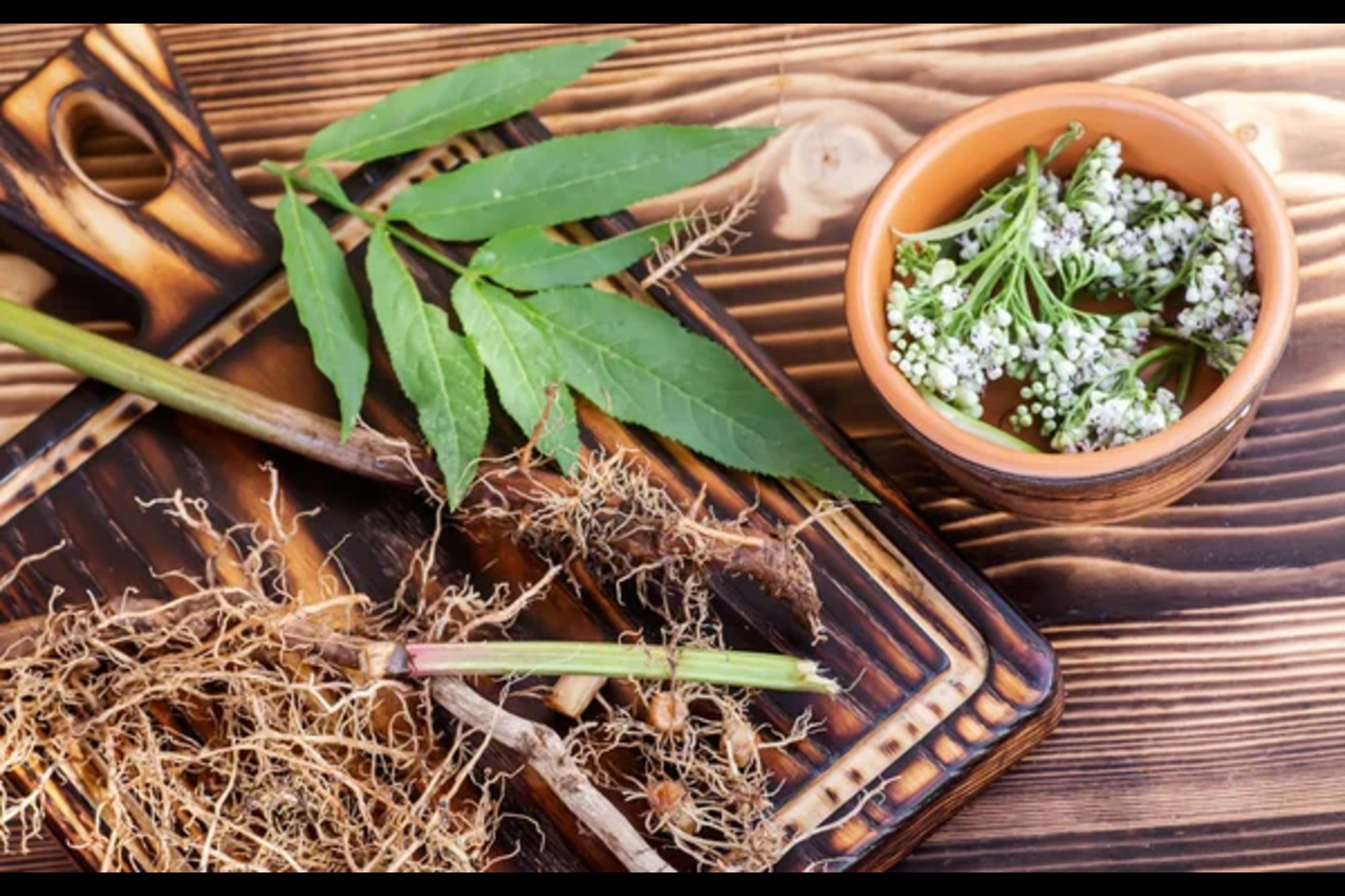 Oriental medicine offers appealing alternatives to TUDCA.