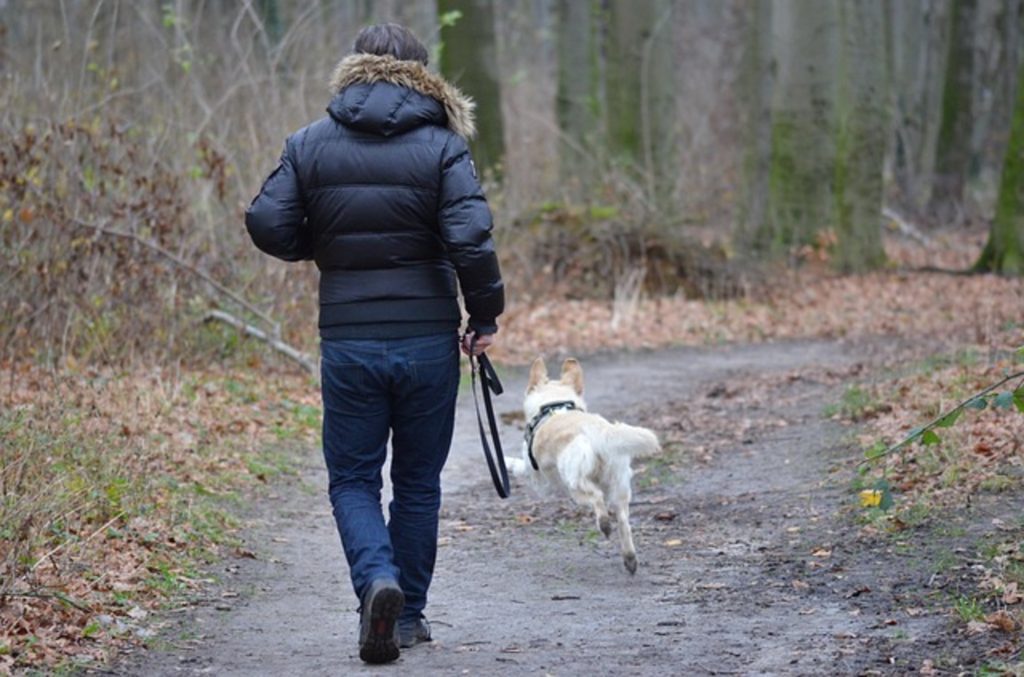 Walking is an activity that help us practice mindfulness.