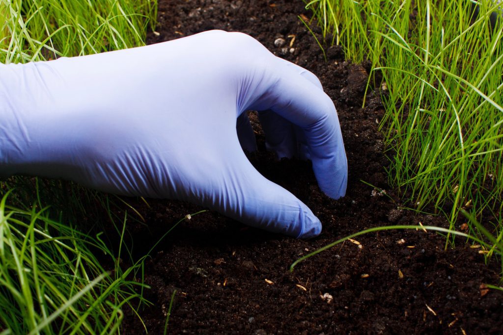 Extracting soil.